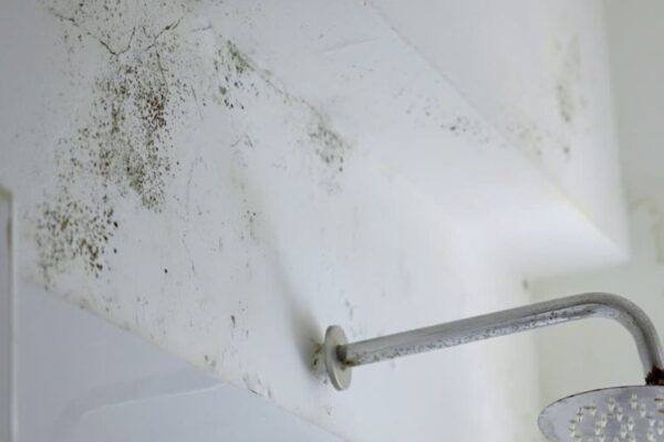 Kako ukloniti vlagu iz stana bez skupih uređaja vlaga u kupatilu u stanu
