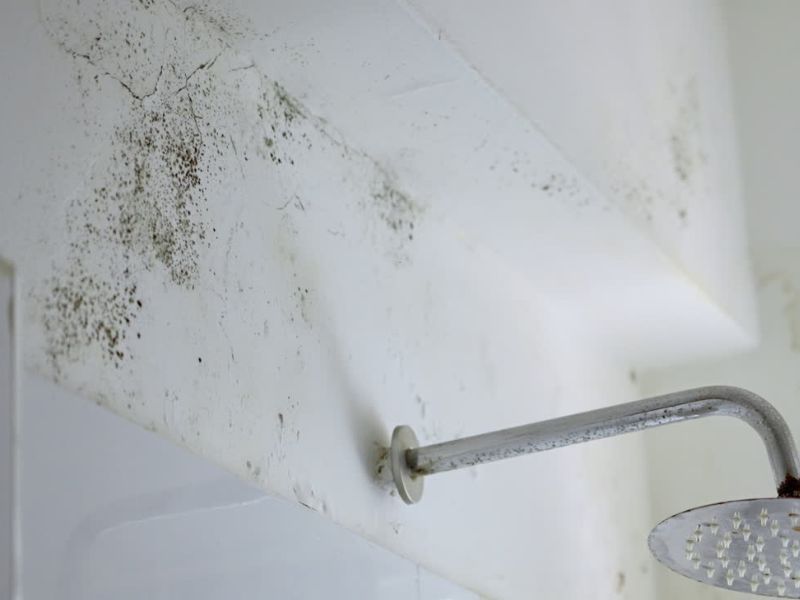 vlaga u kupatilu u stanu