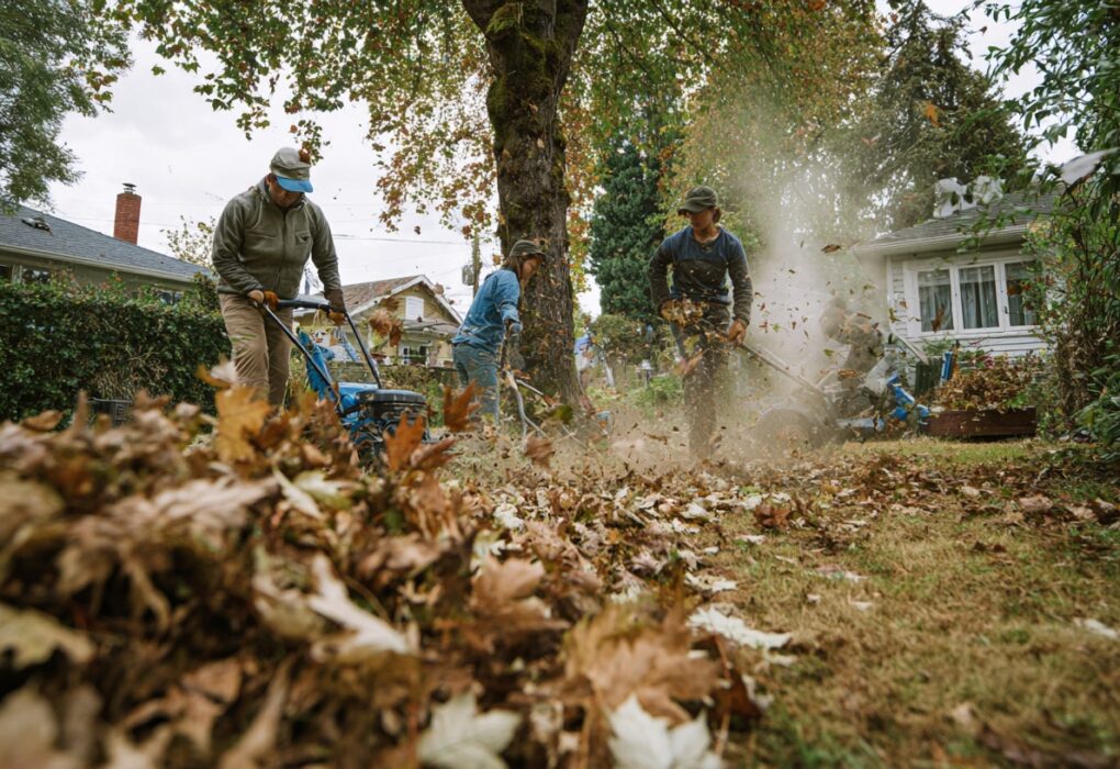 Čisćenje Dvorišta