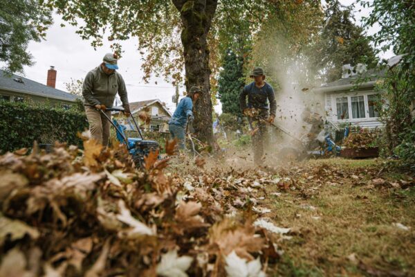 Alati i trikovi za efikasno jesenje održavanje imanja Čisćenje Dvorišta